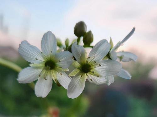 Thumb of 2024-06-22/Lucy68/1b5684