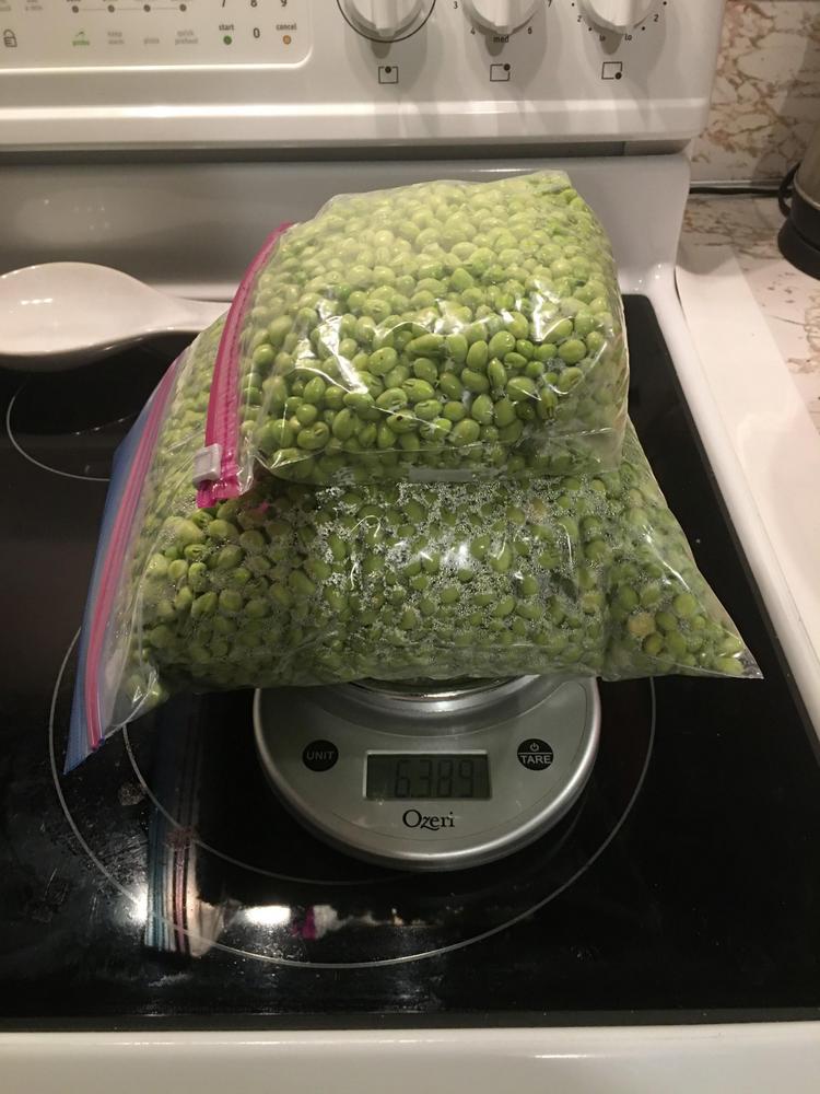 Allelopathic effect from dog fennel on southern cow peas? in the