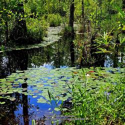 Photo by WebTucker