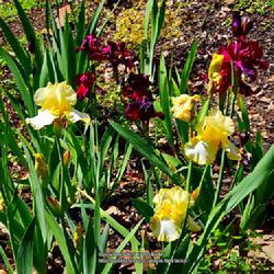 Photo by WebTucker