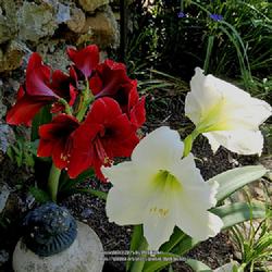 Photo by WebTucker