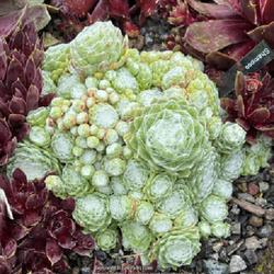 Uploaded by valleylynn