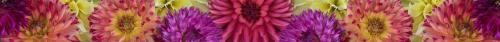 Thumb of 2025-09-08/RootedInDirt/2df294