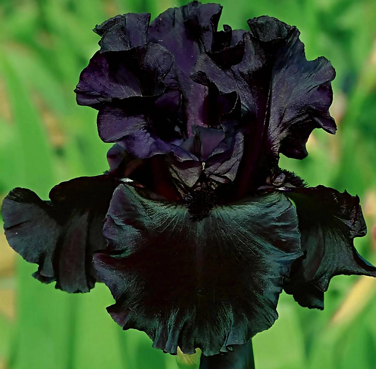 Uploaded by gwhizz Uploaded by gwhizz