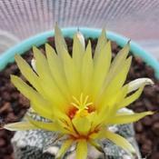 Uploaded by Santibambu