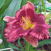 Uploaded by daniaday