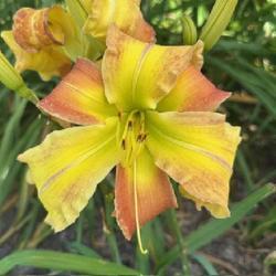 Uploaded by jkporter