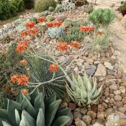 Uploaded by Baja_Costero