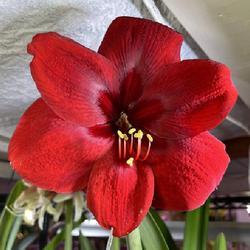 Uploaded by adknative Uploaded by adknative