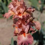 Uploaded by Artsee1 Uploaded by Artsee1