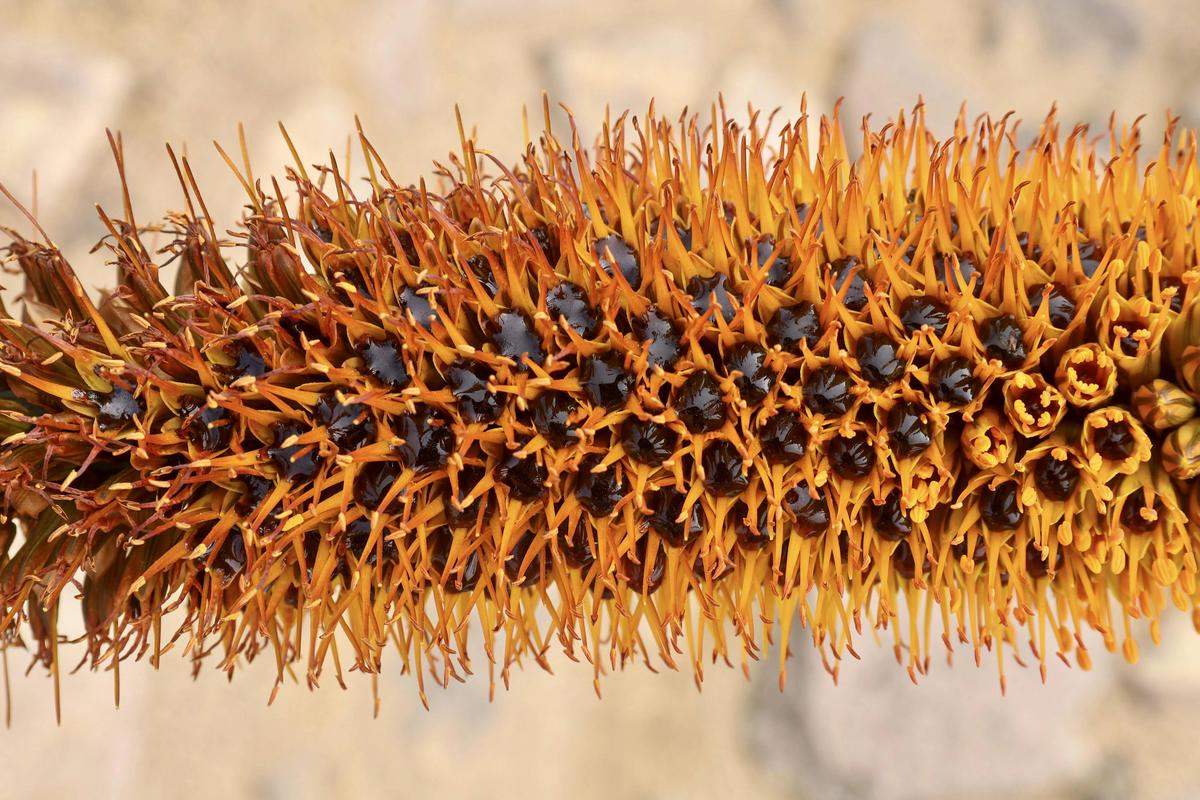 Uploaded by Baja_Costero