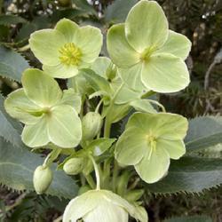 Uploaded by RachaelHunter Uploaded by RachaelHunter