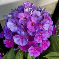 Uploaded by JimKlaiber Uploaded by JimKlaiber