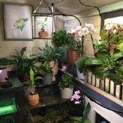 Posted by Meandmyroses