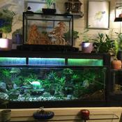 Posted by Meandmyroses