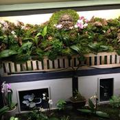 Posted by Meandmyroses