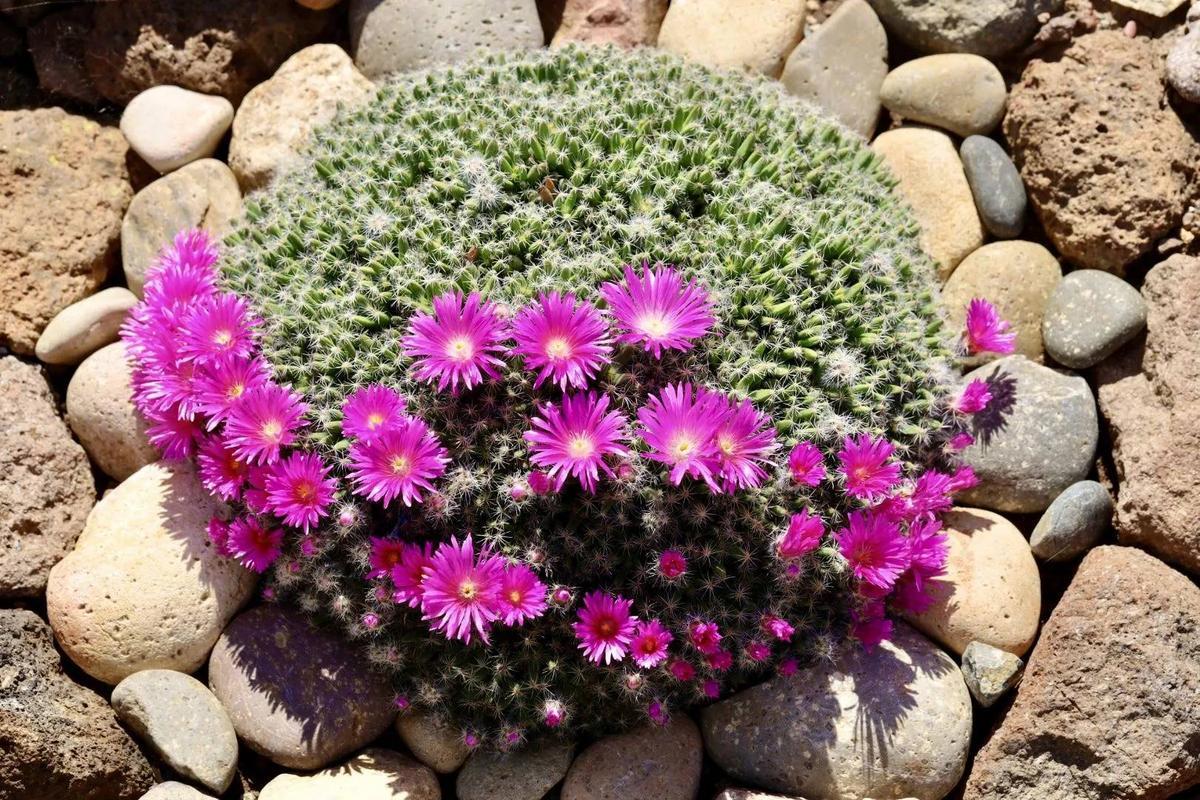 Uploaded by Baja_Costero