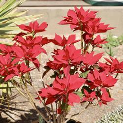 Uploaded by Baja_Costero Uploaded by Baja_Costero