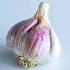Photo Courtesy of Baker Creek Heirloom Seeds. Used with permissio