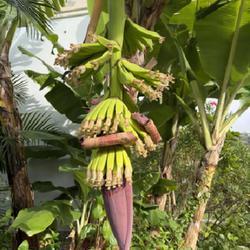 Uploaded by cliftoncat Uploaded by cliftoncat