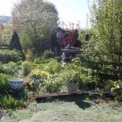 Posted by Vals_Garden