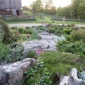 Posted by Vals_Garden