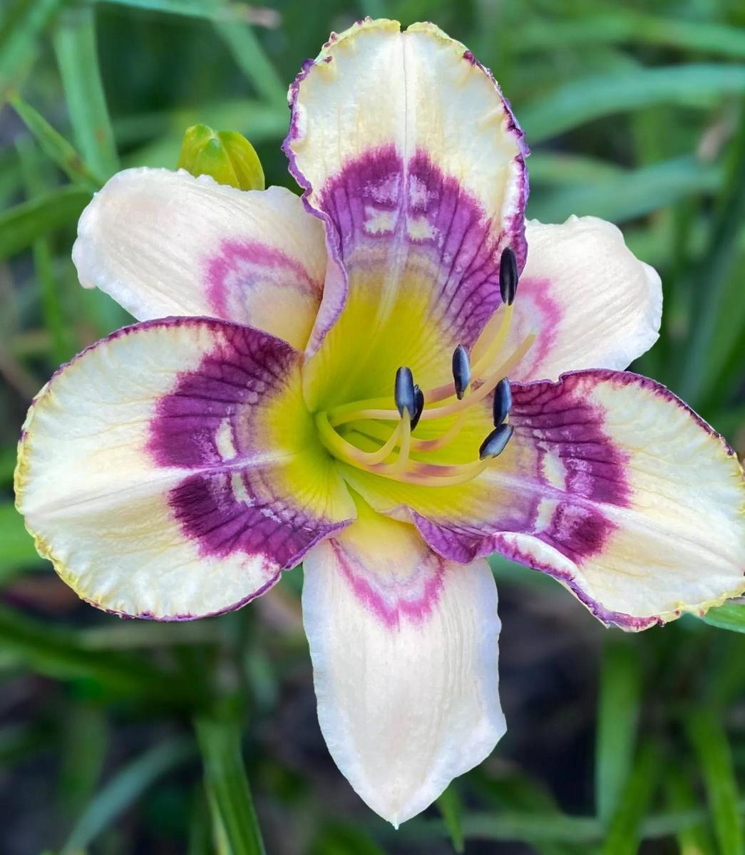 Uploaded by Holly_Baker Uploaded by Holly_Baker