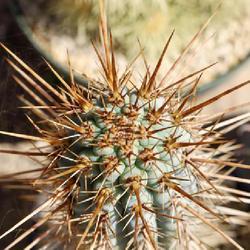 Uploaded by Baja_Costero