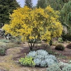 Uploaded by Henhouse