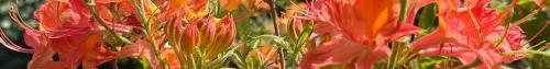 Thumb of 2026-06-15/Zoia/5be376