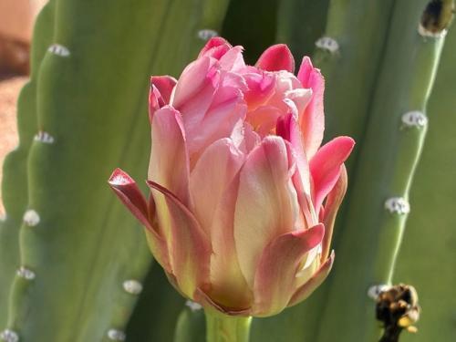 Thumb of 2026-08-22/jnicholes/6542a0