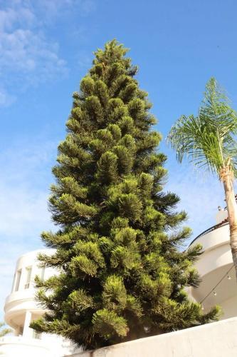 Thumb of 2026-09-05/Baja_Costero/6c8e8f