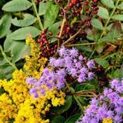 Posted by WebTucker